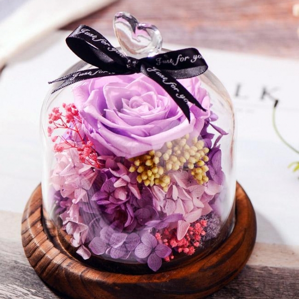 爱丽丝紫色玫瑰永生花玻璃罩礼盒 北美w团购网 W团购商品