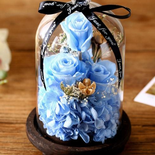 淡蓝色玫瑰永生花玻璃罩礼盒，送女友最佳选择，永不枯萎的恋爱，包邮, 淡蓝色玫瑰永生花玻璃罩礼盒，送女友最佳选择，永不枯萎的恋爱，包邮