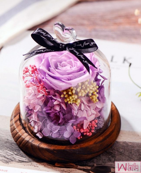 Preserved Fresh Alice Purple Roses Immortal Flower Glasses Gift Box, 爱丽丝紫色玫瑰永生花玻璃罩礼盒，送女友最佳选择，永不枯萎的恋爱，包邮