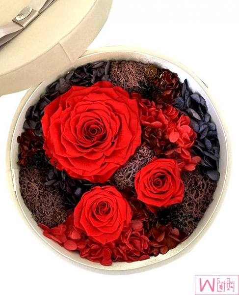 Preserved Fresh Red Roses Immortal Flower Gift Box, 红色玫瑰永生花秘密花园圆木盒礼盒，送礼最佳选择，永不枯萎的心意，包邮