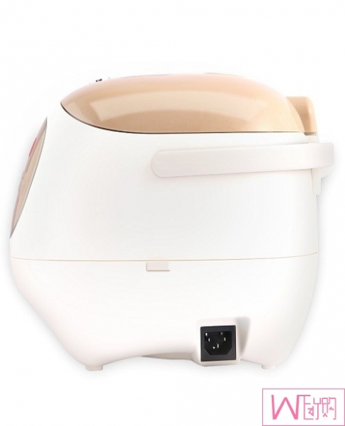 TIANJI FD30D] Rice Cooker, 3L