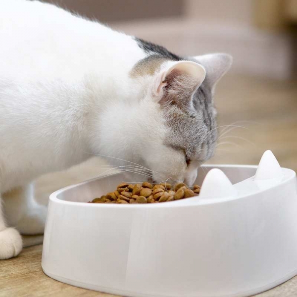 Cat ear cat bowl pet creative bowl cat supplies cat food basin cat Basin, 猫咪专属设计
适合短毛猫等圆脸猫及扁脸加菲猫
合理倾角 加大碗口 矮矮的高度