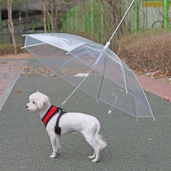 Umbrella traction rope supplies dog rain gear pet chain raincoat belt, 时尚透明 宠物雨伞
遮风挡雨
简约时尚
轻便耐用