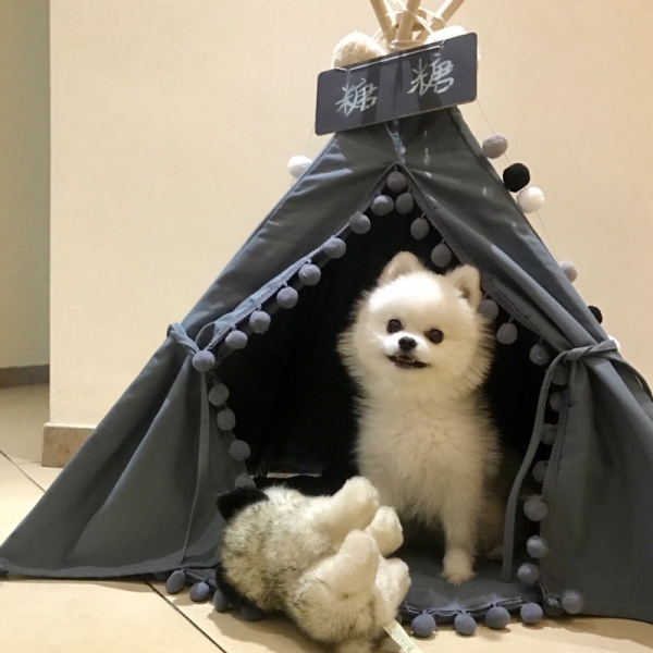 Small and medium sized dog's nest dog house pet tent yurt Dog House Tent House, 纯棉帆布 新西兰松木
可手洗 可机洗