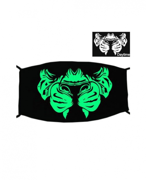 Special Green Luminous Printing Halloween Rave Mask For Ravers No.21, 
