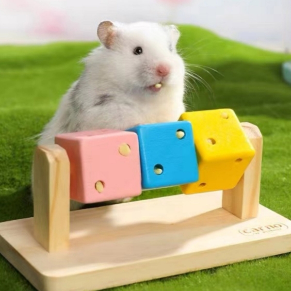 Hamster Toy Fun Magic Cube Relieve Boredom Wooden Solid Wood Toy, 趣味魔方仓鼠玩具解闷木质实木玩具磨牙金丝熊造景鹦鹉磨爪
