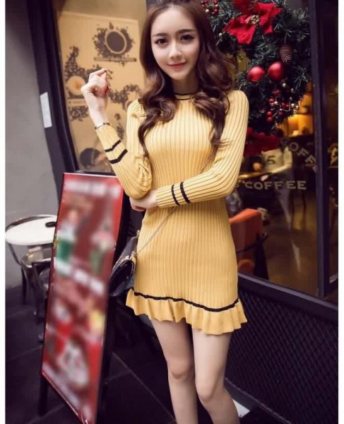 Fashion Women's Mixed Colores Long Sleeve Slim Knit Dress, 