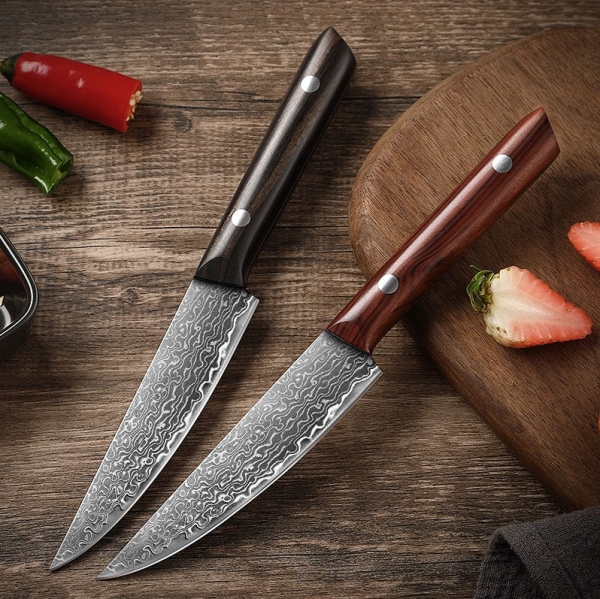 Damascus Fruit & Steak Knife – Forged, Ultra-Sharp, Full Tang, Ergonomic Handle, 正品大马士革钢水果牛排刀 – 多层锻造刀刃，超锋利刀锋，全龙骨结构，人体工学手柄 – 多功能厨房工具，适用于切水果、肉类等