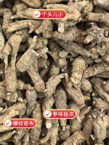 威州半野生珍珠炮参黑五超低价拼团